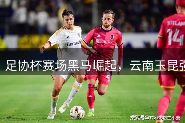 足协杯赛场黑马崛起，云南玉昆强势晋级四强